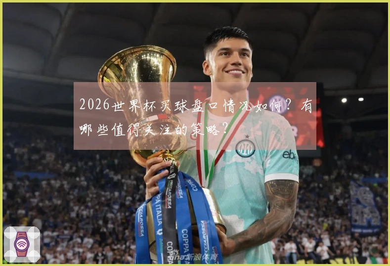 2026世界杯买球盘口情况如何？有哪些值得关注的策略？