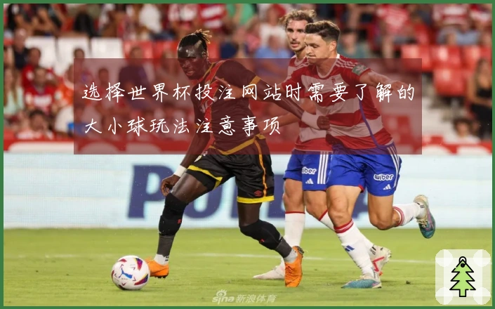 选择世界杯投注网站时需要了解的大小球玩法注意事项