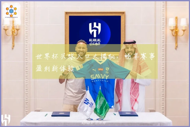 世界杯买球入口大揭秘，畅享赛事盈利新体验