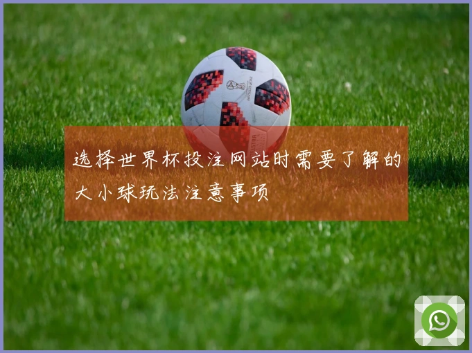 选择世界杯投注网站时需要了解的大小球玩法注意事项