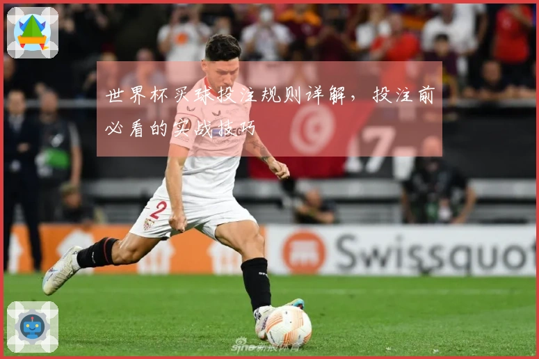 世界杯买球投注规则详解，投注前必看的实战技巧