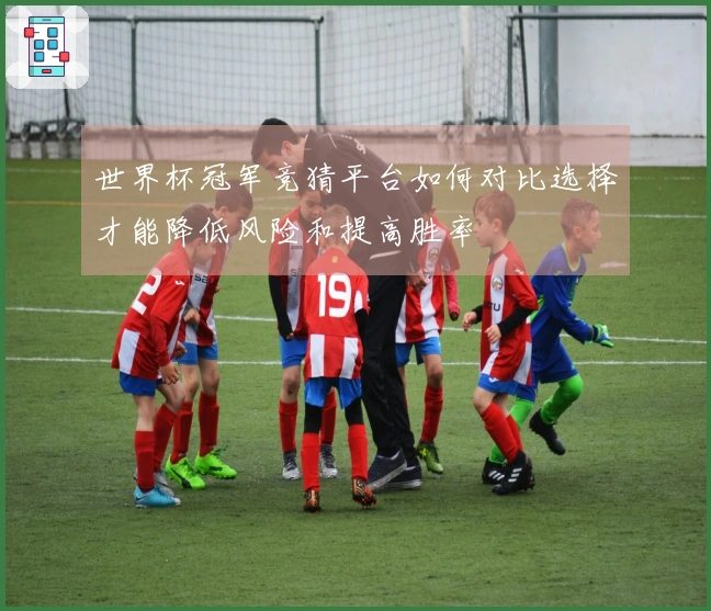世界杯冠军竞猜平台如何对比选择才能降低风险和提高胜率