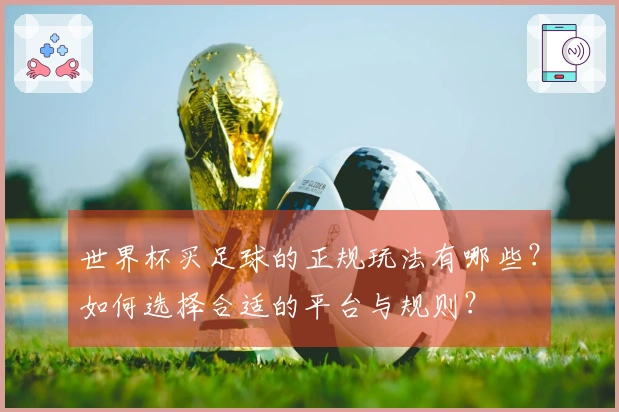 世界杯买足球的正规玩法有哪些？如何选择合适的平台与规则？